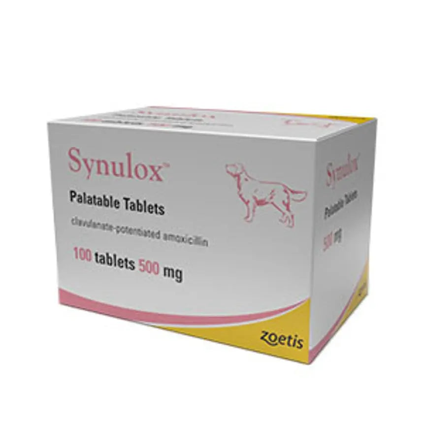 Amoxicillin für hunde