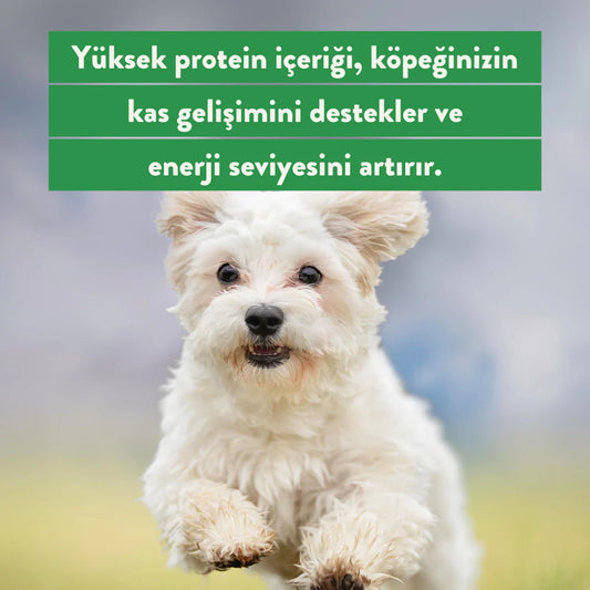 Kito Freeze Dried Somon Ödül Maması Köpekler için (30 gr)