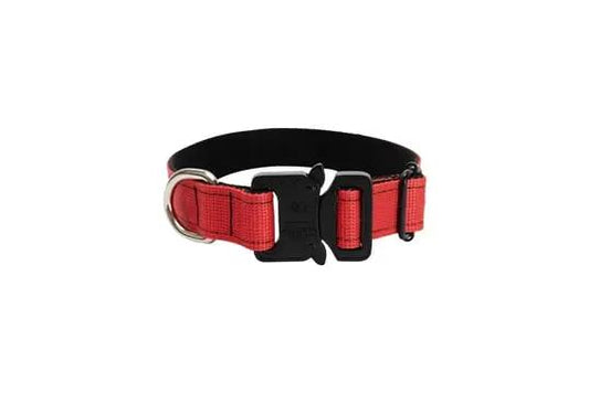 Kırmızı 2,5cm Boyun Tasması - Alpha-Tact