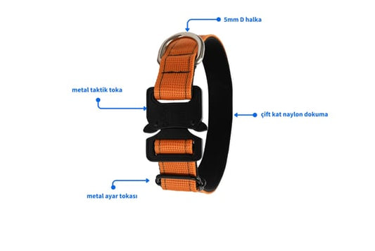 Turuncu 2.5cm Taktik Boyun Tasması