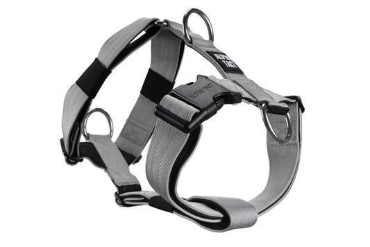 Tactfit Harness Gri