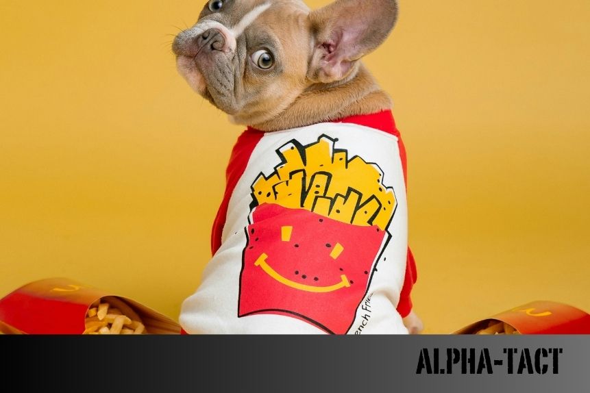 Köpek Tasması ve Teknoloji: Akıllı Tasma Trendleri ve İnovasyonlar