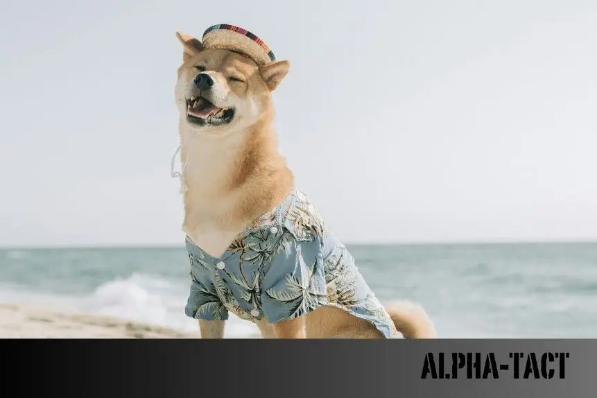 Rüyada-Köpek-Görmek-Ne-Anlama-Gelir-Detaylı-Yorumlar Alpha-Tact