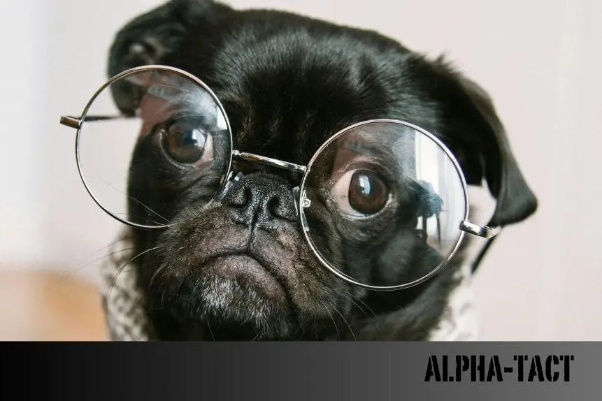 Köpek-Satın-Alınması-ve-Ücretsiz-Sahiplendirme-Bir-Karşılaştırma-ve-Kapsamlı-Rehber Alpha-Tact
