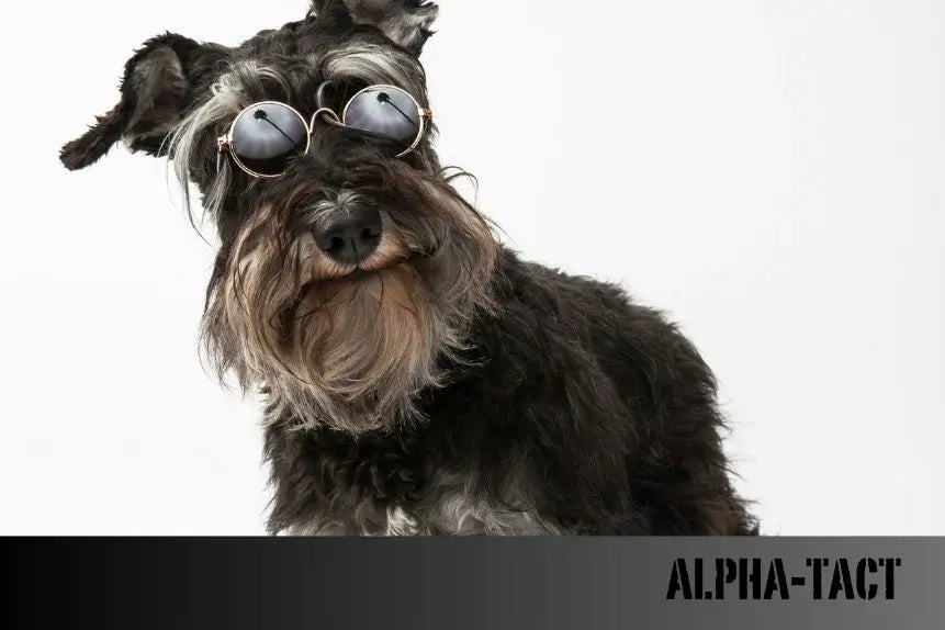 Köpek-ve-Kediler-İçin-Antidepresan-ve-Sakinleştiriciler-Etkileri-ve-Kullanımı Alpha-Tact