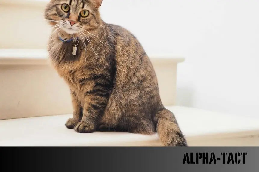 2025-Yılında-Veteriner-Mikroçip-Taktırma-Ücreti-ve-Çip-Taktırmama-Cezası Alpha-Tact