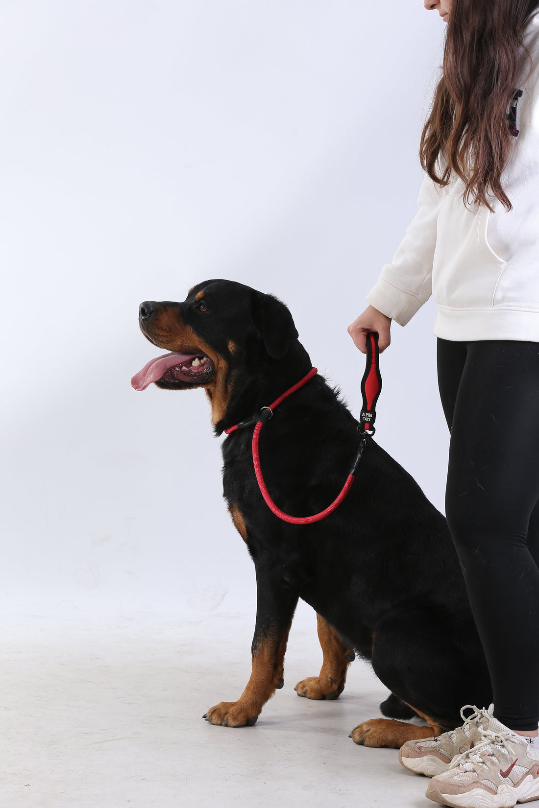 Swiftslip Lead Siyah: Büyük Irklar İçin Doğru Taktik Köpek Tasması ve Boyun Tasması Seçimi