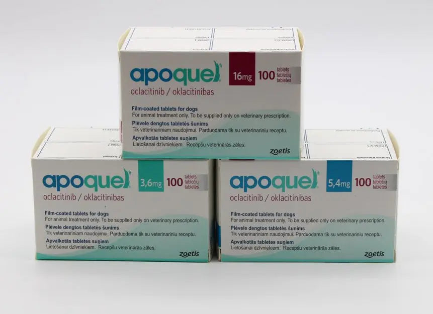 Apoquel-Köpeklerde-Alerjik-Deri-Hastalıklarının-Tedavisinde-Çığır-Açan-İlaç Alpha-Tact