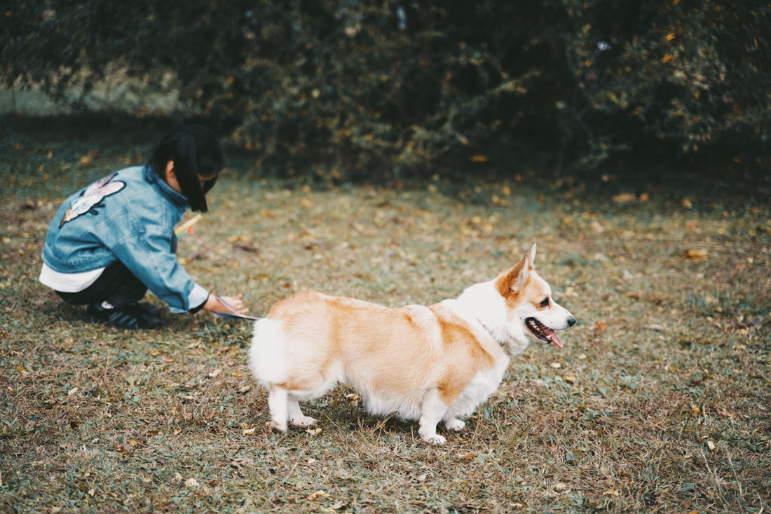 person in blue denim jacket and blue denim jeans walking on brown soil with brown and