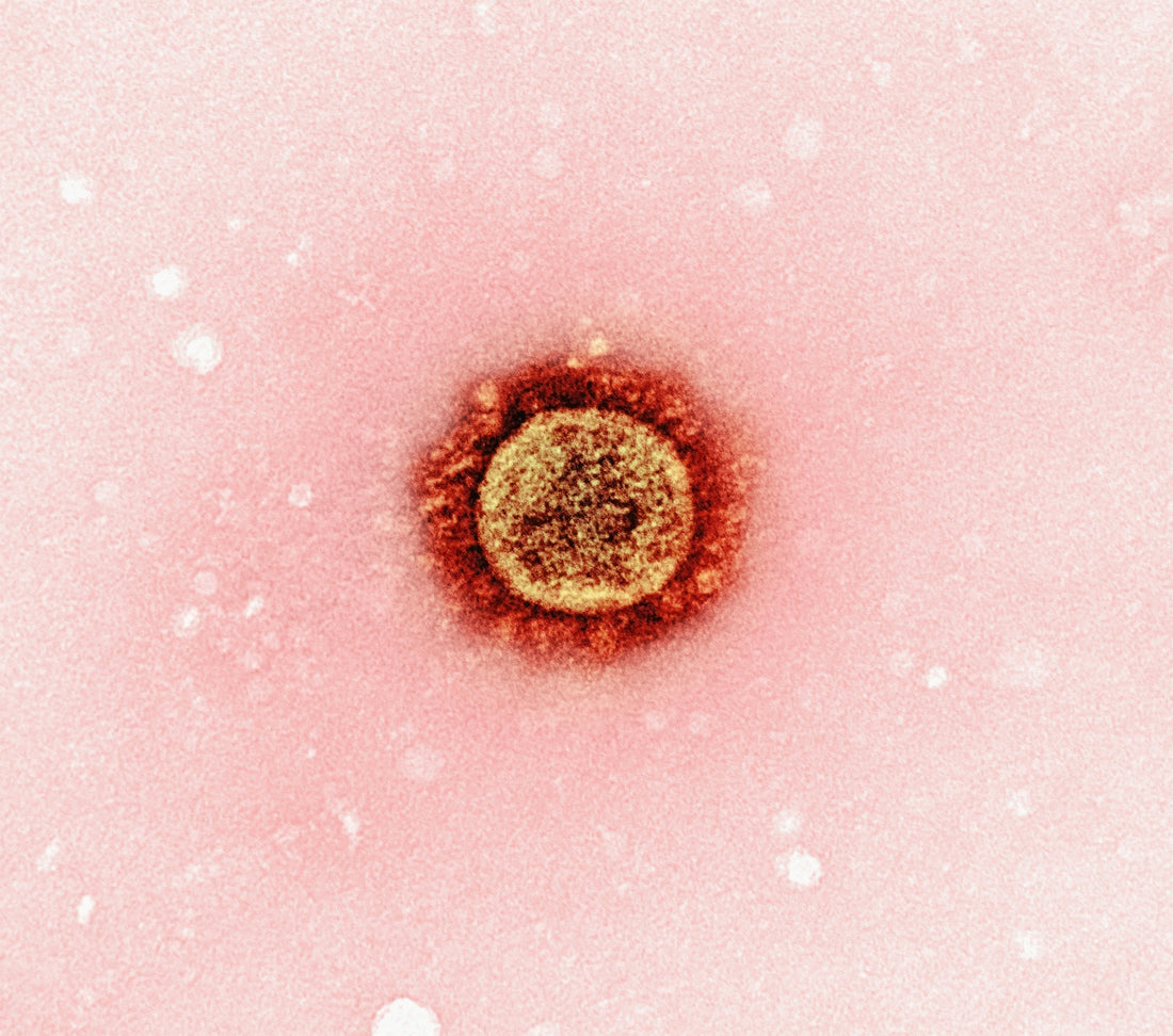 a close up of a red substance on a pink background