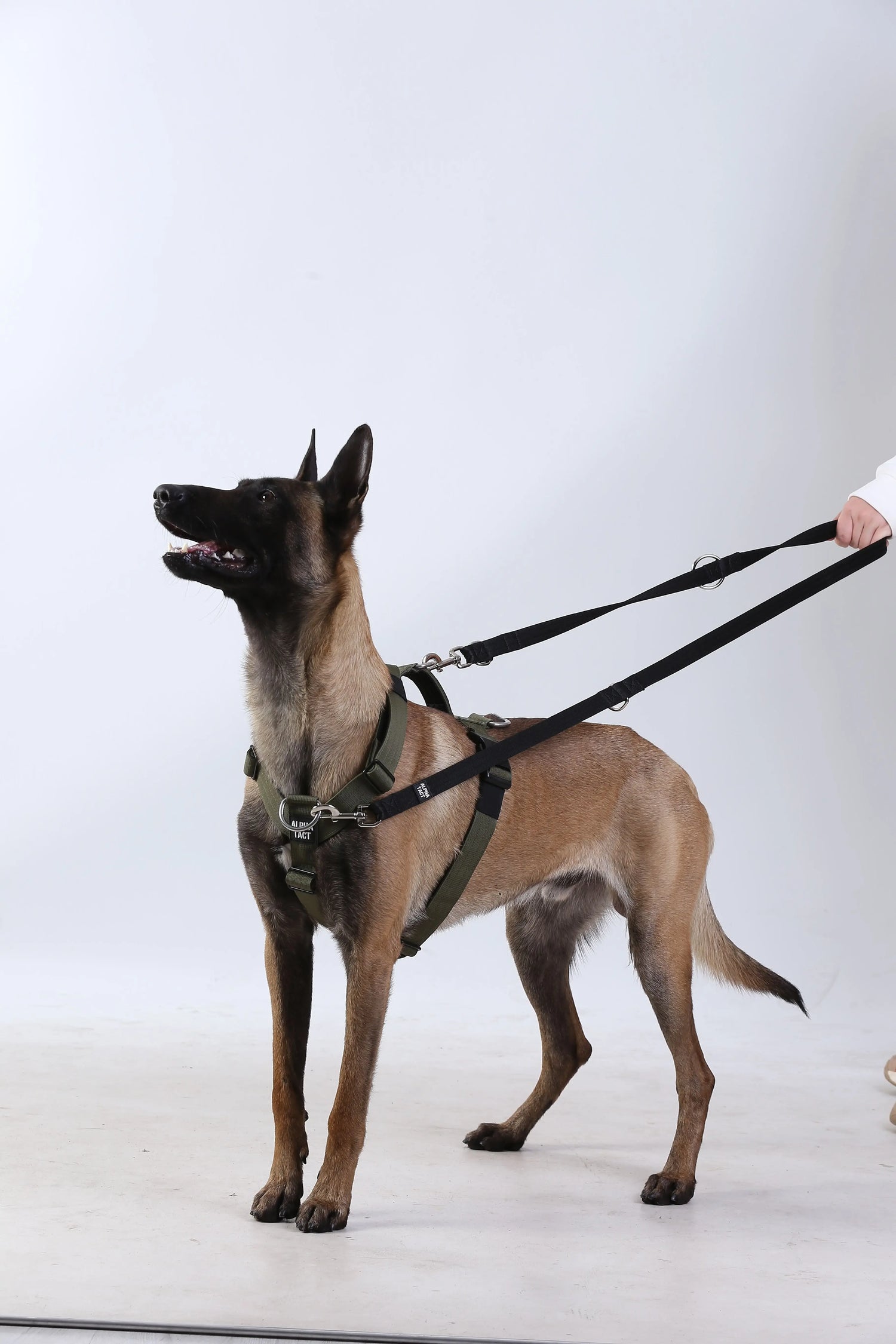 Trailtrainer Lead / Eller Serbest / 8 Farkılı Kullanım Modu Alpha-Tact