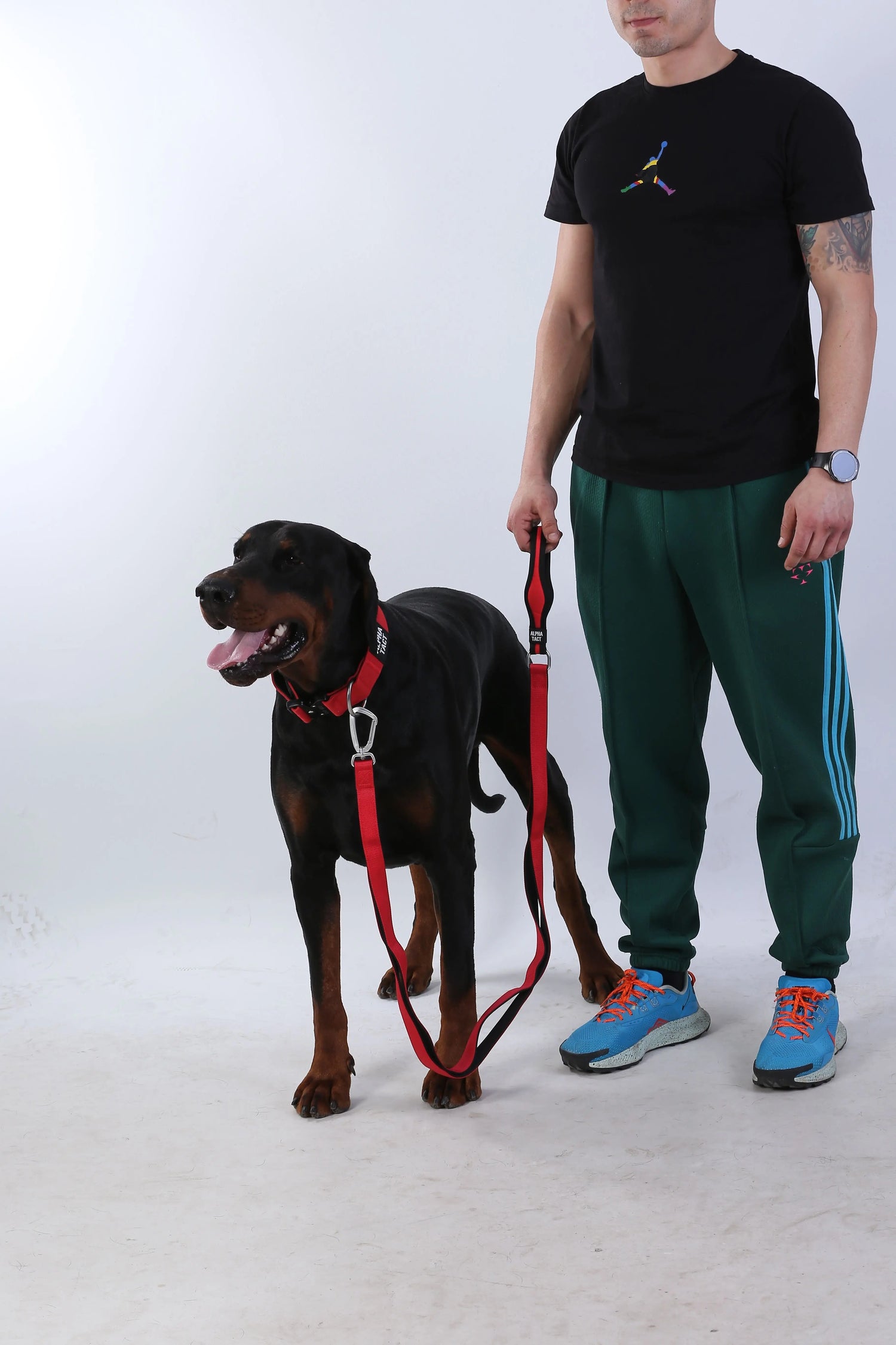 Gezdirme Tasması Alpha-Tact