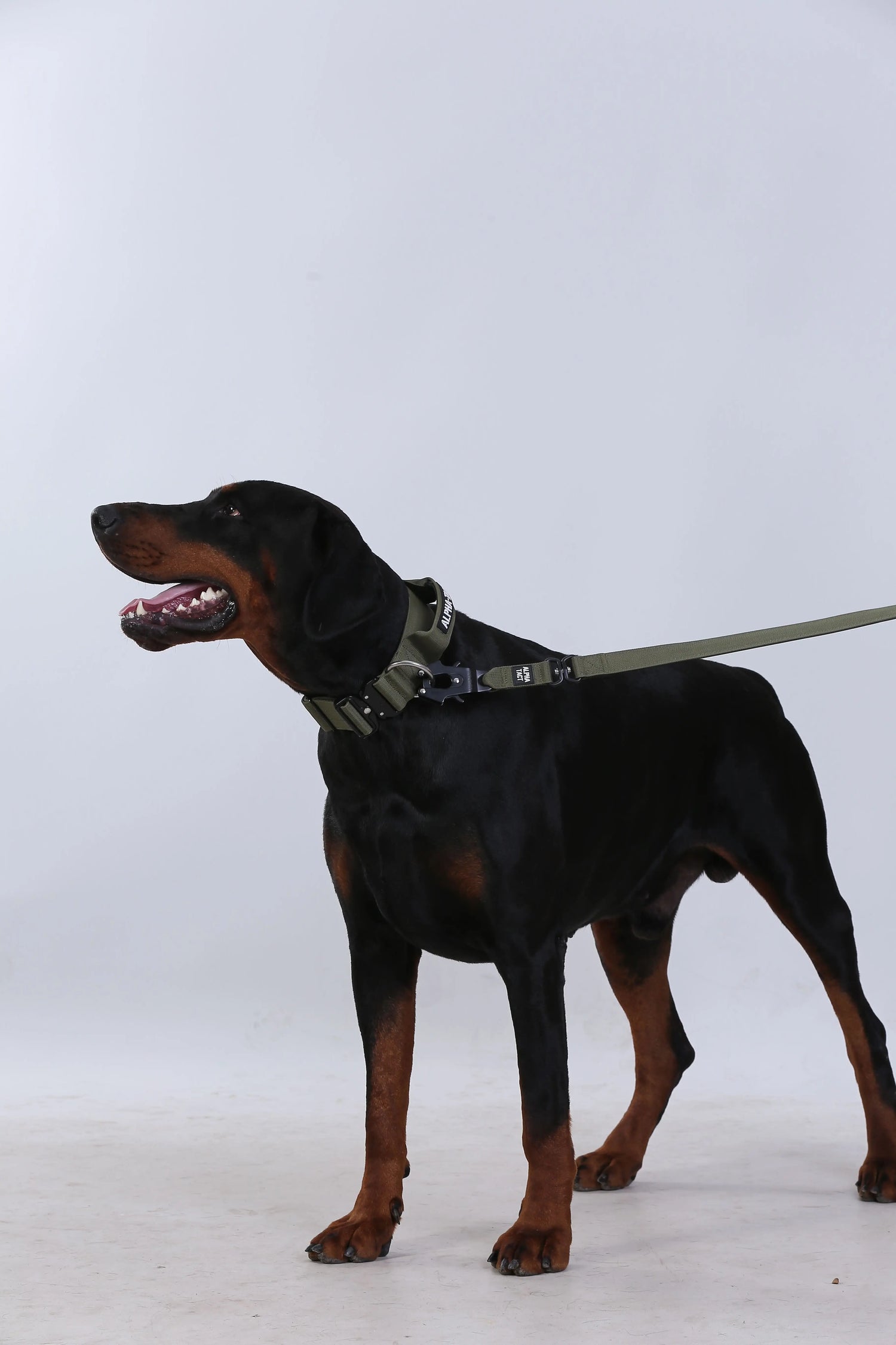 Taclead Combat / Güçlü Irklar Alpha-Tact