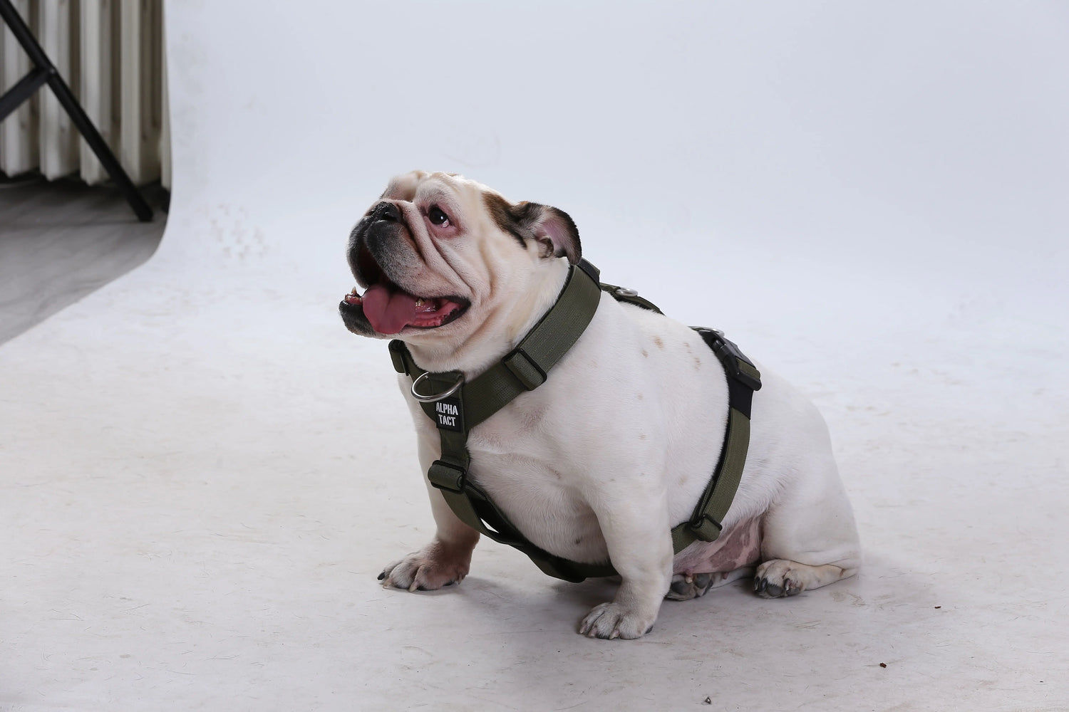 Atıştırmalıklar Alpha-Tact