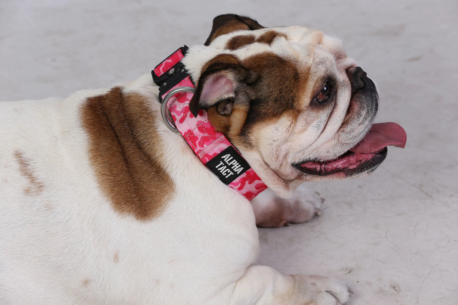 Alphagrip Lite 4cm/ Orta ve Büyük Irklar Alpha-Tact