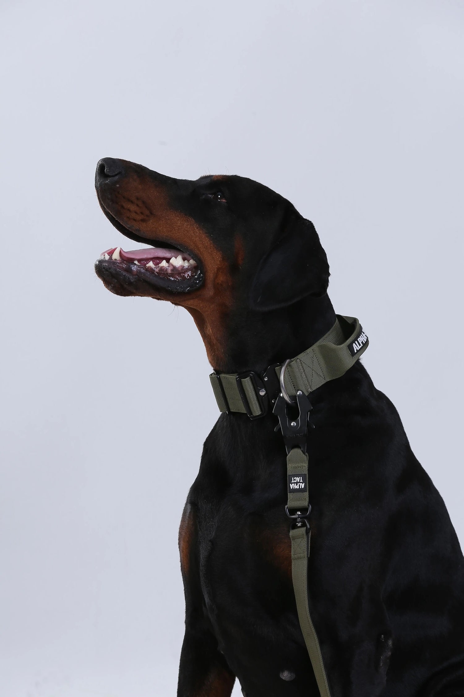 Alphagrip pro 5 cm / Büyük ve Dev Irklar / Kulplu Alpha-Tact