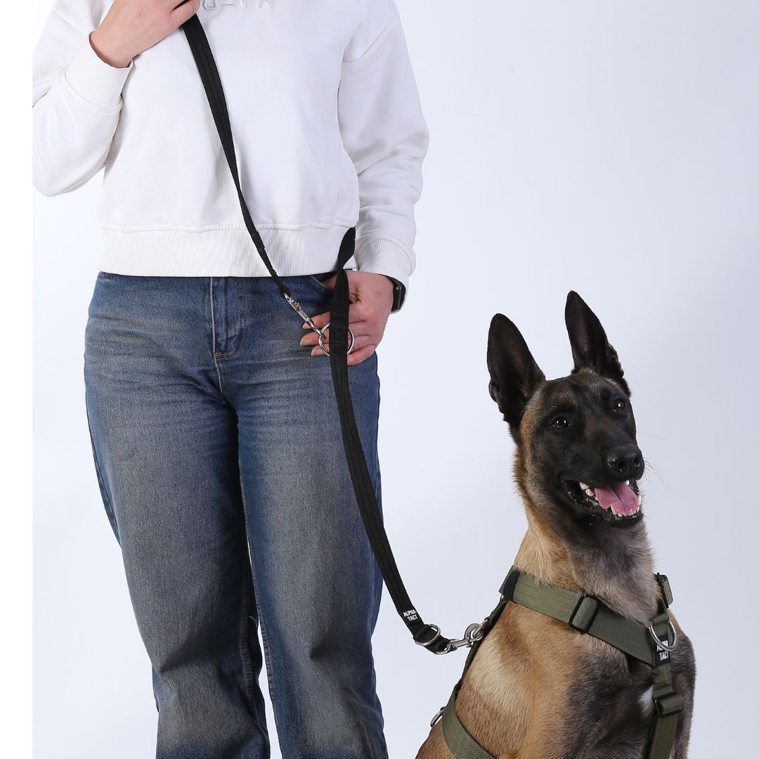 Trailtrainer Lead Gri Gezdirme Tasması