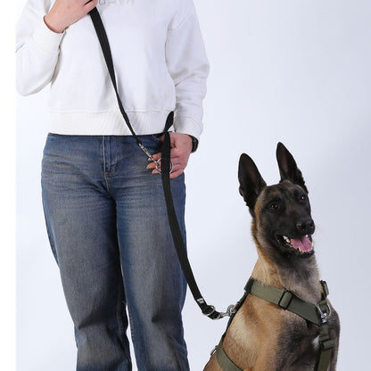 Trailtrainer Lead Gri Gezdirme Tasması
