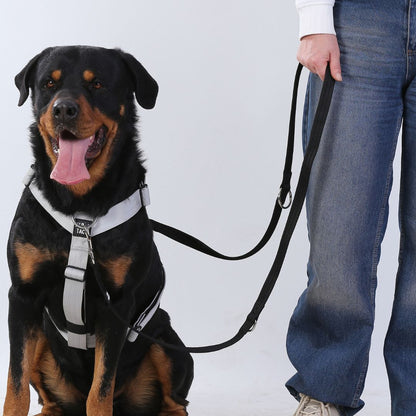 Trailtrainer Lead Gri Gezdirme Tasması