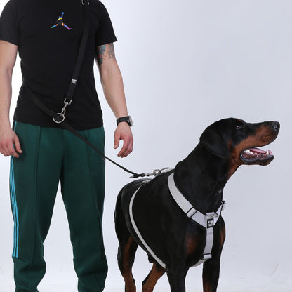 Trailtrainer Lead Mor Gezdirme Tasması