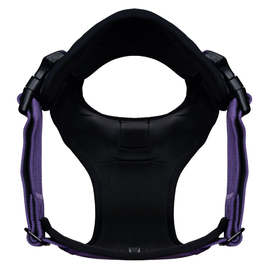 Tact Comfort Kırmızı