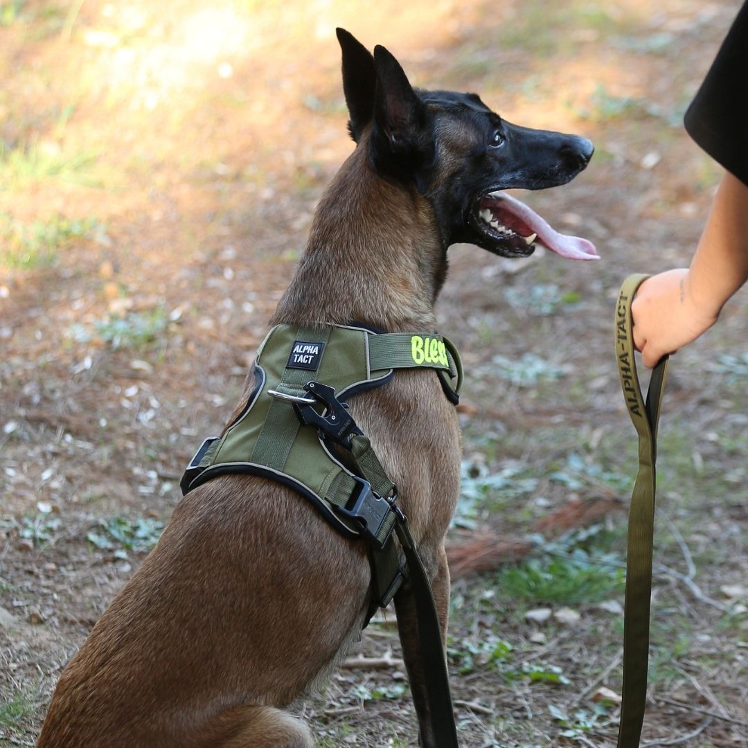 Tact Comfort Kırmızı