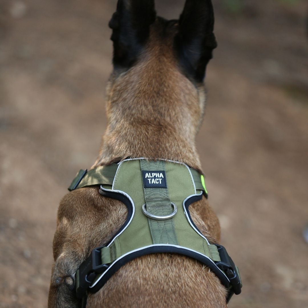 Tact Comfort Kırmızı