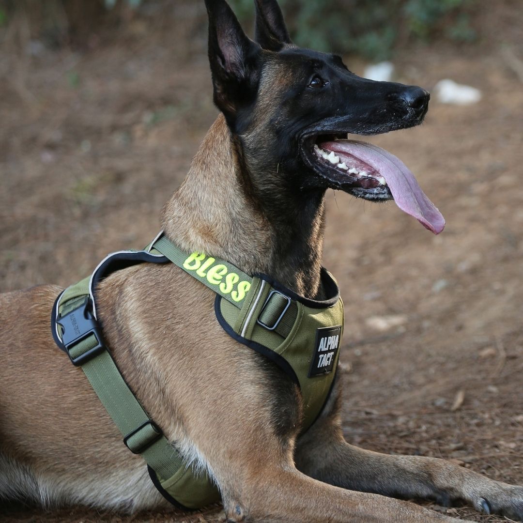 Tact Comfort Kırmızı