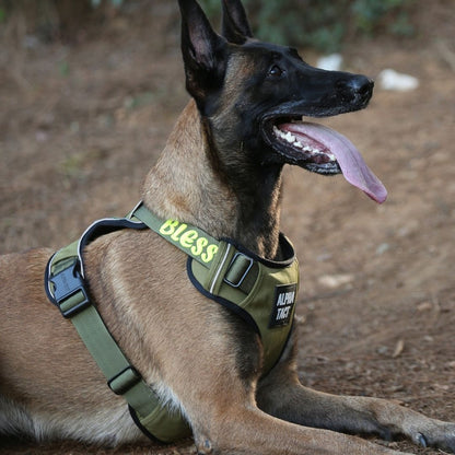 Tact Comfort Kırmızı