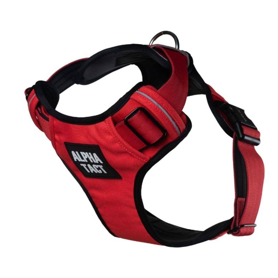 Tact Comfort Kırmızı Göğüs Tasması