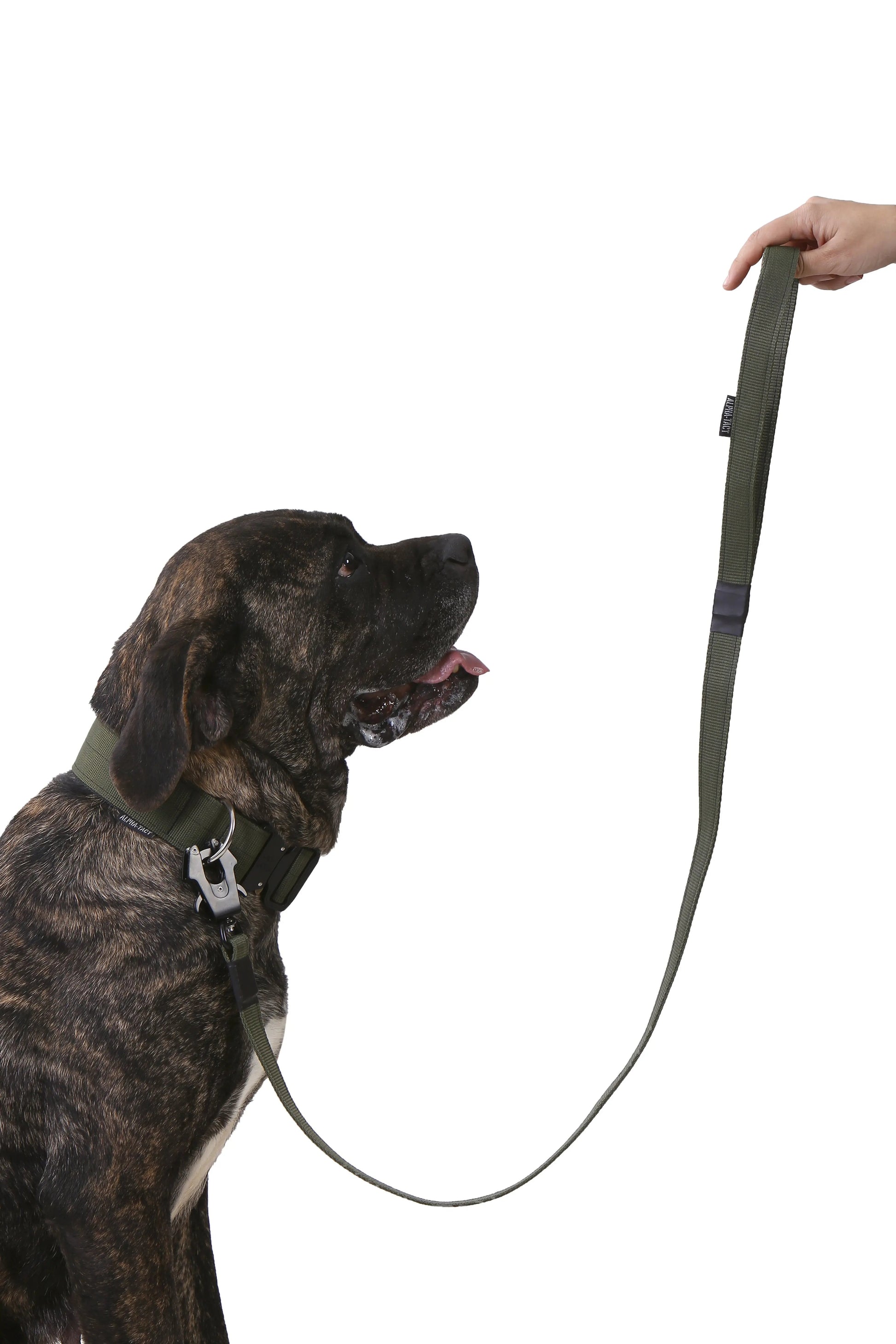 5cm Taktik Boyun Tasması - Alpha-Tact