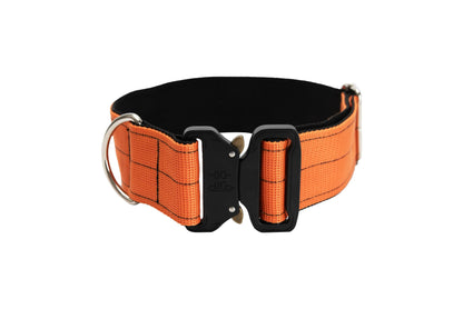 5cm Taktik Boyun Tasması - Alpha-Tact