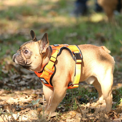 Tact Comfort Kırmızı