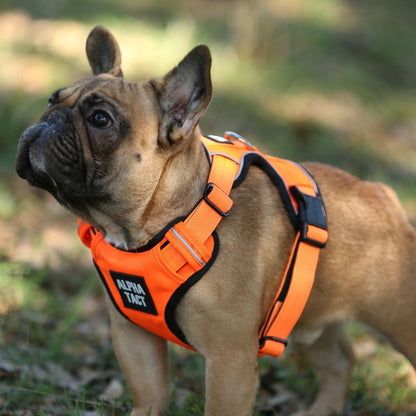 Tact Comfort Kırmızı