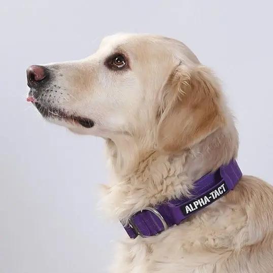 Alphagrip Pro 4cm Siyah - Alpha-Tact