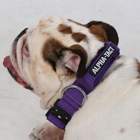 Alphagrip Pro 4cm Siyah - Alpha-Tact