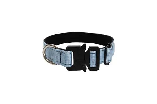 Bebe Mavisi 2,5cm Boyun Tasması - Alpha-Tact