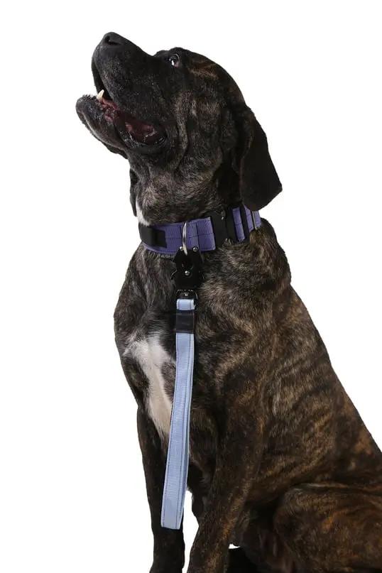 Bebe Mavisi Kısa Taktik Gezdirme Tasması - Alpha-Tact