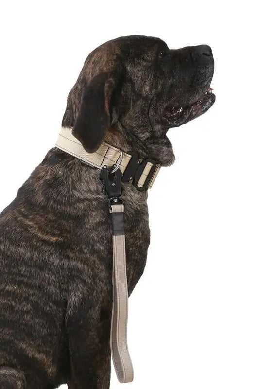 Bej Kısa Taktik Gezdirme Tasması - Alpha-Tact