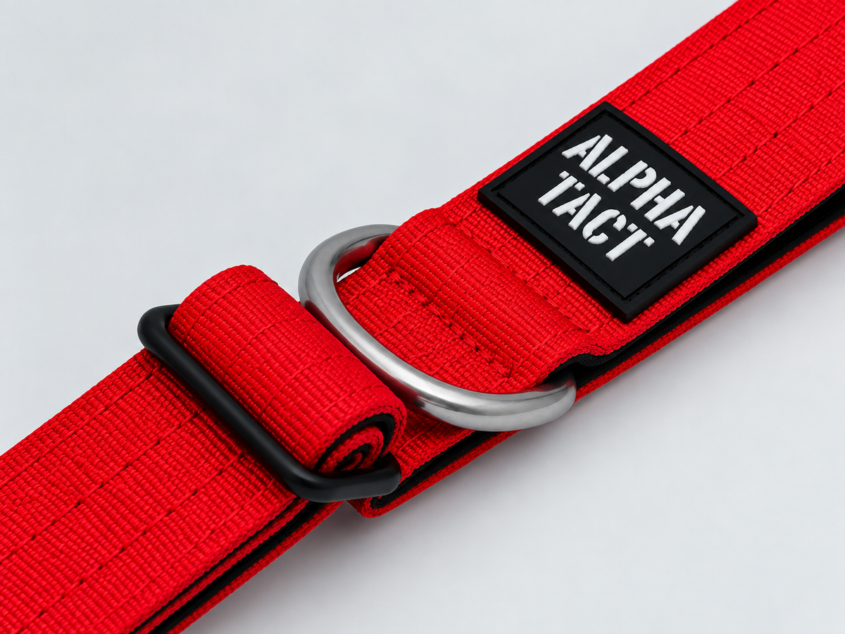 Orange Short Tactical Leash
