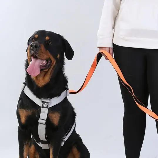 Climblead Siyah - Alpha-Tact