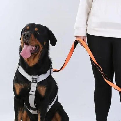 Climblead Siyah - Alpha-Tact