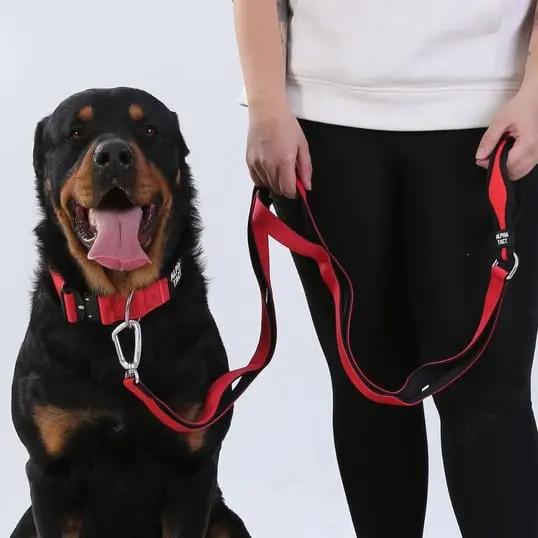 Climblead Siyah - Alpha-Tact