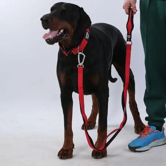 Climblead Siyah - Alpha-Tact