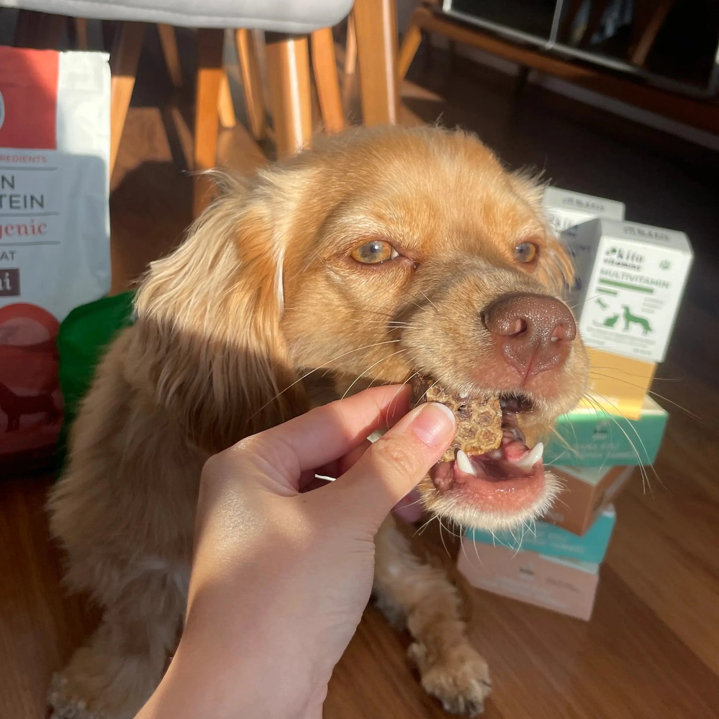 Kito Dana Akciğer Küp Atıştırmalık Köpek Ödül Maması %100 Doğal, Glutensiz, Organik 100 gr - Alpha-Tact