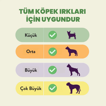 Kito Dana Kamış Çiğnemelik Köpek Ödül Maması %100 Doğal, Glutensiz, Organik 100 gr - Alpha-Tact