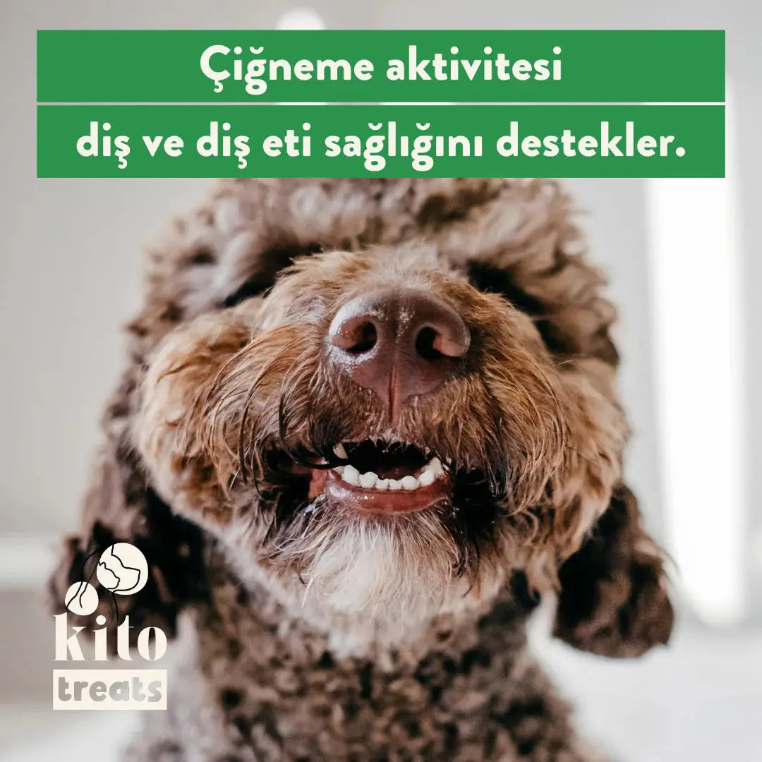 Kito Dana İnce Sinir Çiğnemelik Köpek Ödül Maması %100 Doğal, Glutensiz, Organik 100 gr - Alpha-Tact