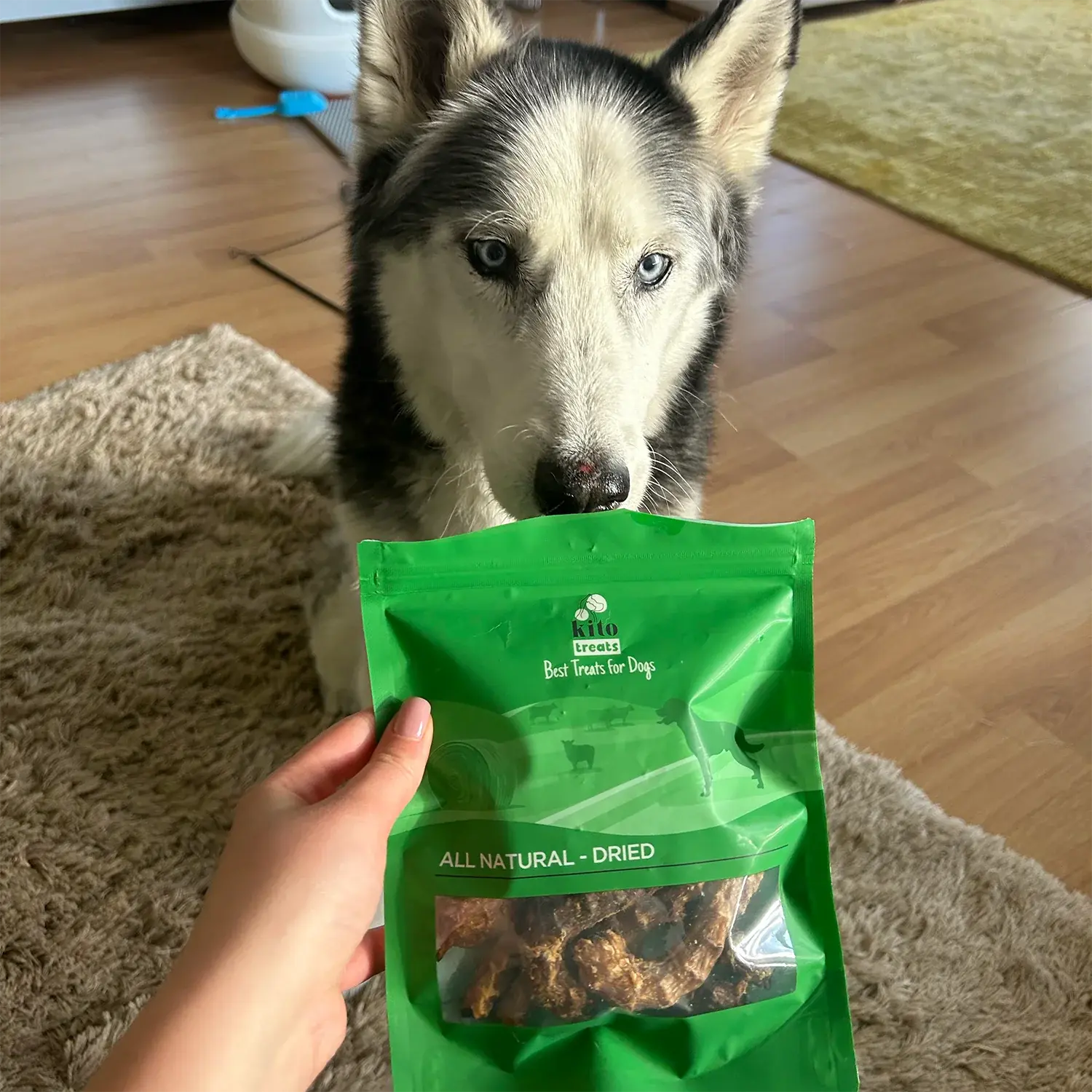 Kito Tavuk Boyun Çiğnemelik Köpek Ödül Maması %100 Doğal, Glutensiz, Organik 100 gr - Alpha-Tact
