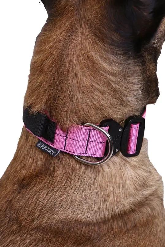 Siyah 2,5cm Boyun Tasması - Alpha-Tact