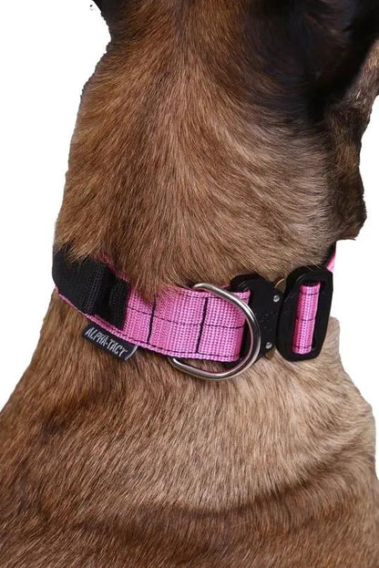 Siyah 2,5cm Boyun Tasması - Alpha-Tact